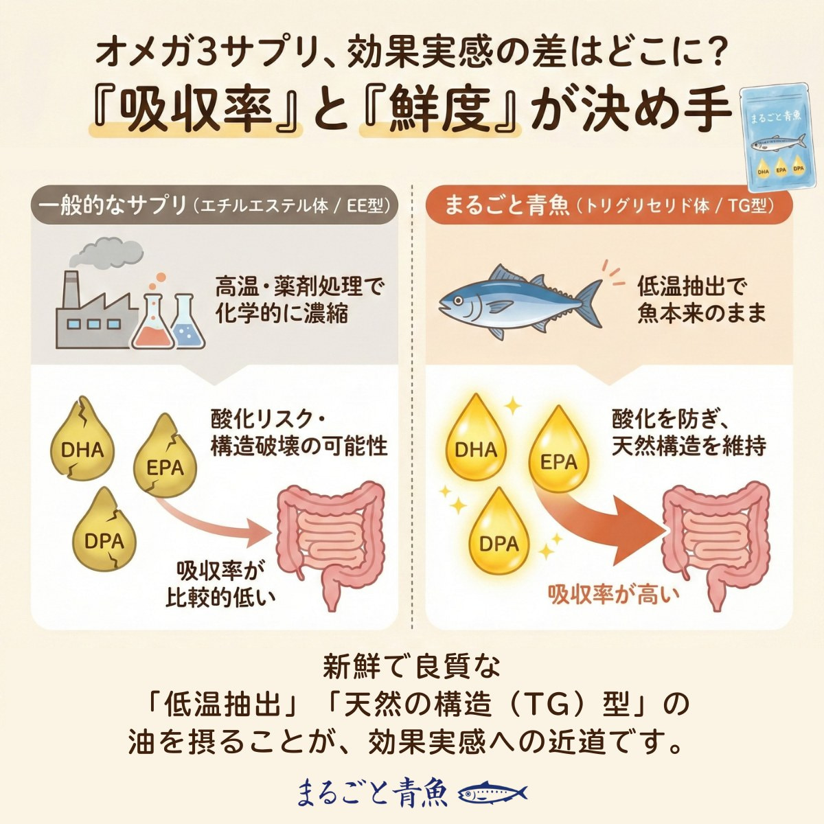 オメガ3サプリメントの効果の実感には「吸収率」と「鮮度」が重要