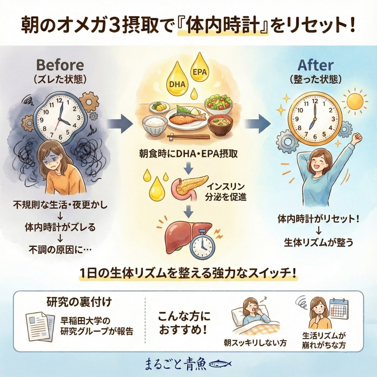 朝のオメガ3摂取は体内時計をリセットする