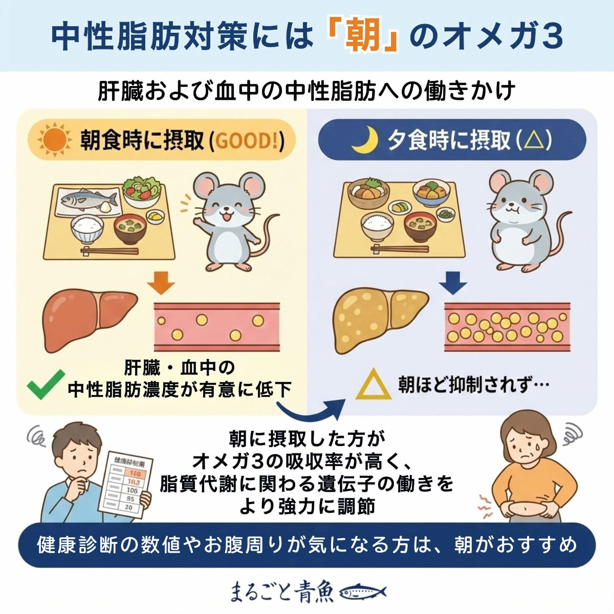 中性脂肪対策には朝オメガ3サプリを摂取するのが効果的