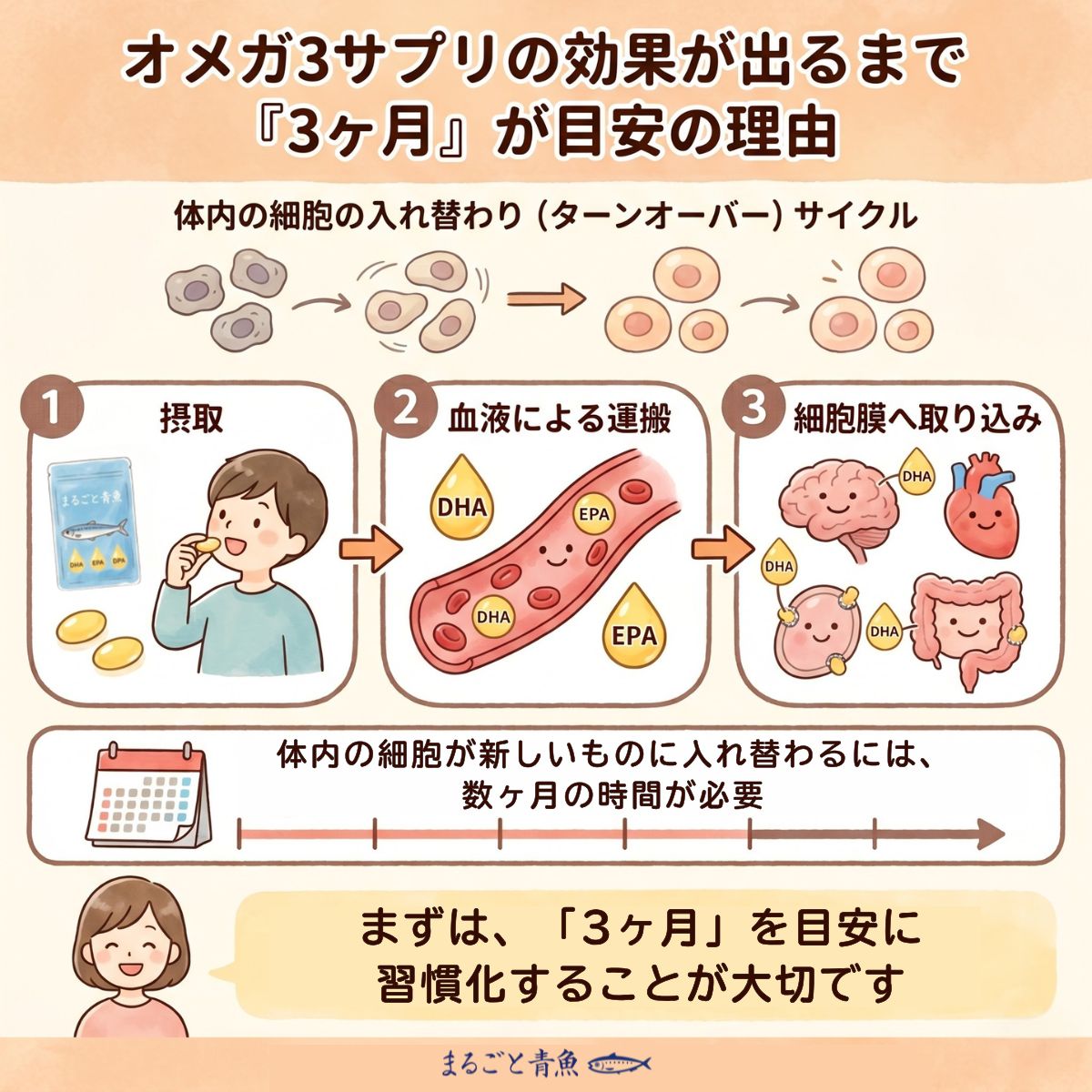 オメガ3サプリの効果が出るまで3か月が目安の理由