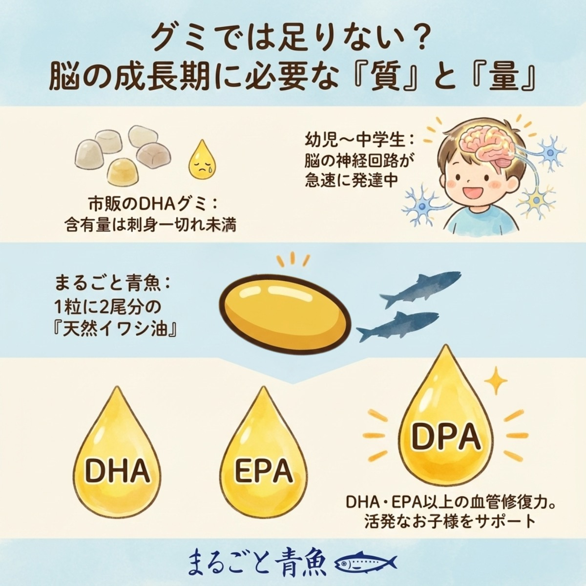 オメガ3サプリメント「まるごと青魚」でグミでは足りないDHAを摂取