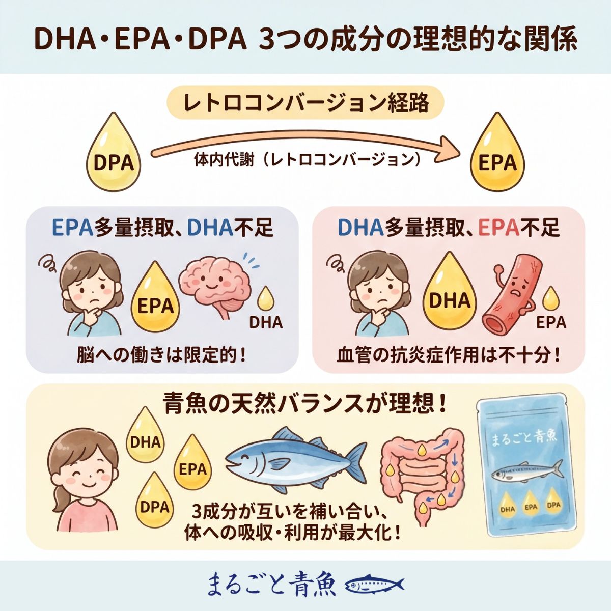 DHA・EPA・DPA 3成分の理想的な関係を示すインフォグラフィック｜DPAがレトロコンバージョン経路でEPAに変換される仕組み、EPA・DHAの偏りによる弊害、青魚の天然バランスで吸収・利用が最大化されることを図解