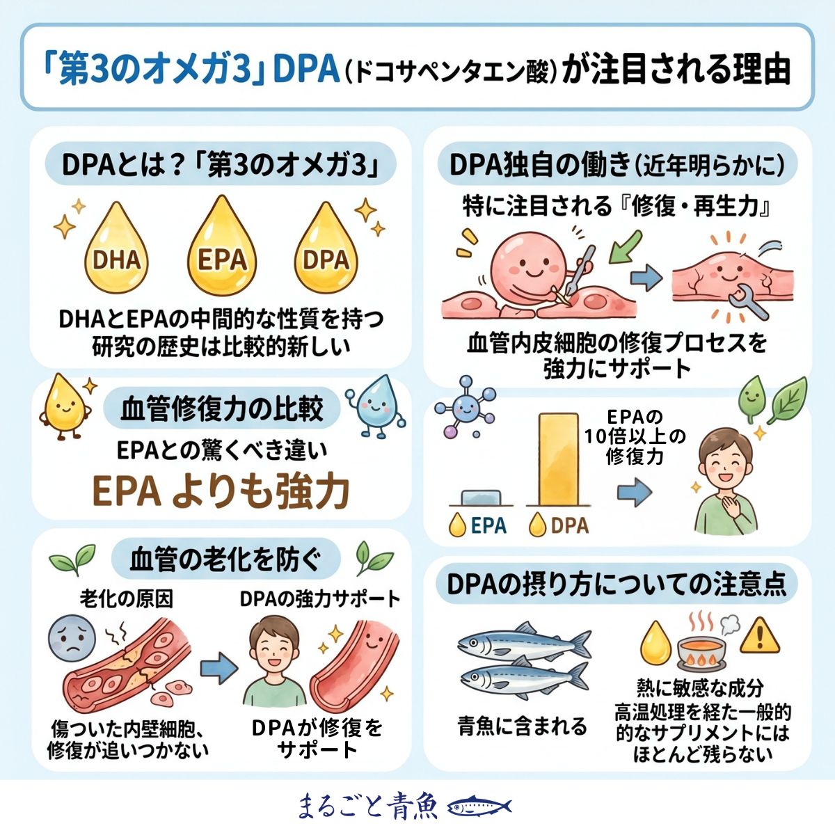 「第3のオメガ3」DPAが注目される理由を示すインフォグラフィック｜血管修復力がEPAの10倍以上、血管内皮細胞の修復サポート、熱に敏感な成分であることを図解