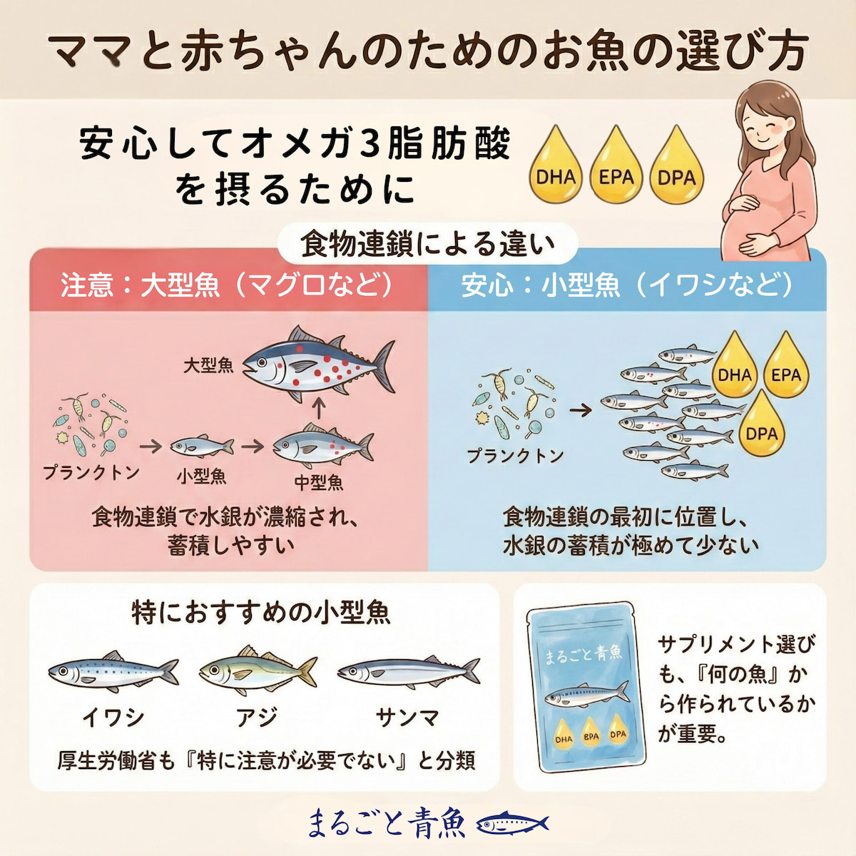 妊娠中には水銀の蓄積量が極めて少ないイワシなどの小型魚を食べるようにしましょう