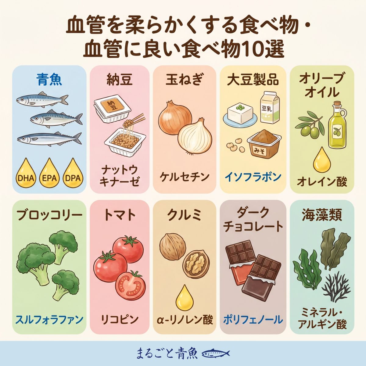 血管を柔らかくする食べ物・血管にいい食べ物10選
