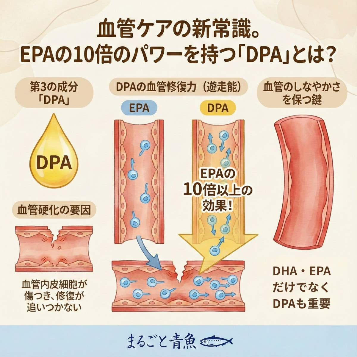 血管ケアの新常識。EPAの10倍のパワーを持つ「DPA」とは？