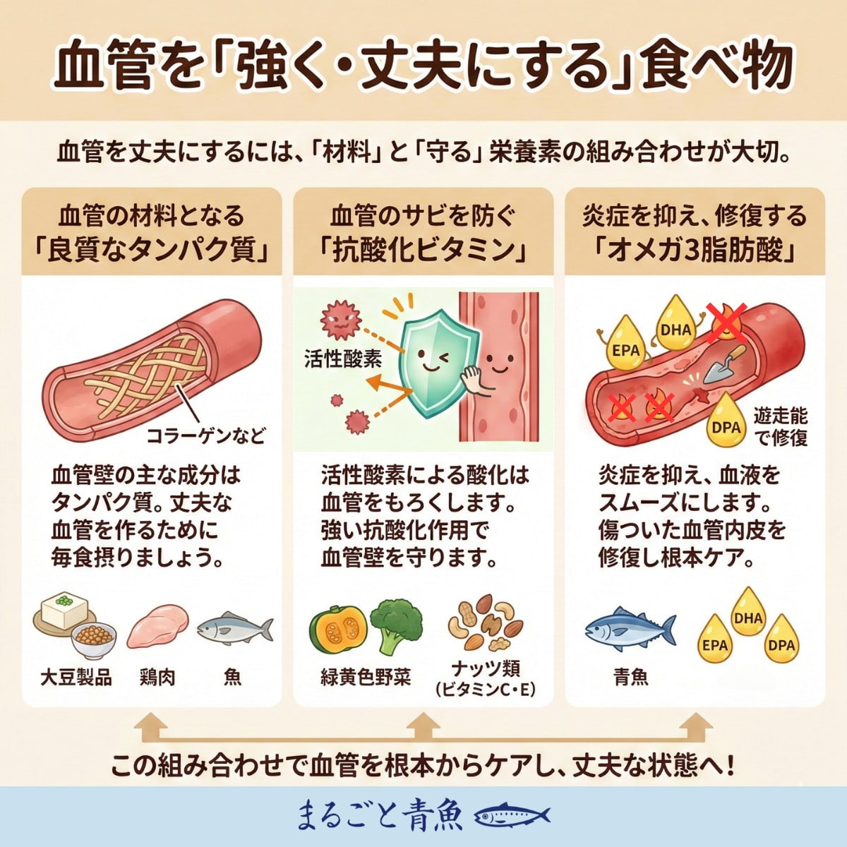 血管を強く丈夫にする食べ物