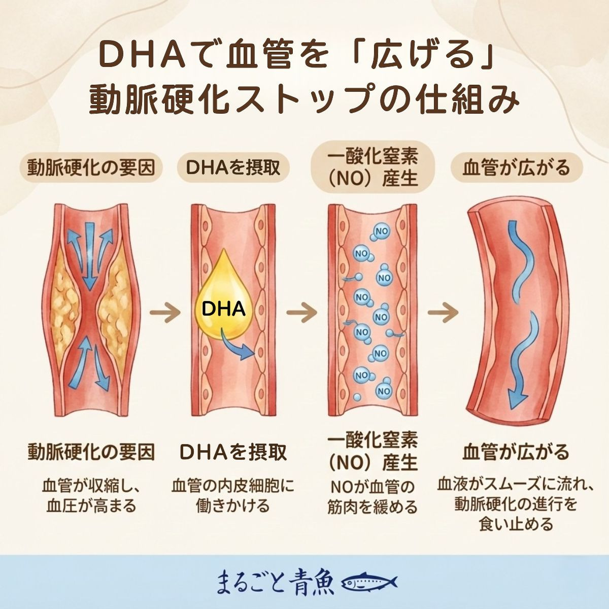 血管を「広げる」スイッチを入れる、DHAによる動脈硬化抑制の仕組み
