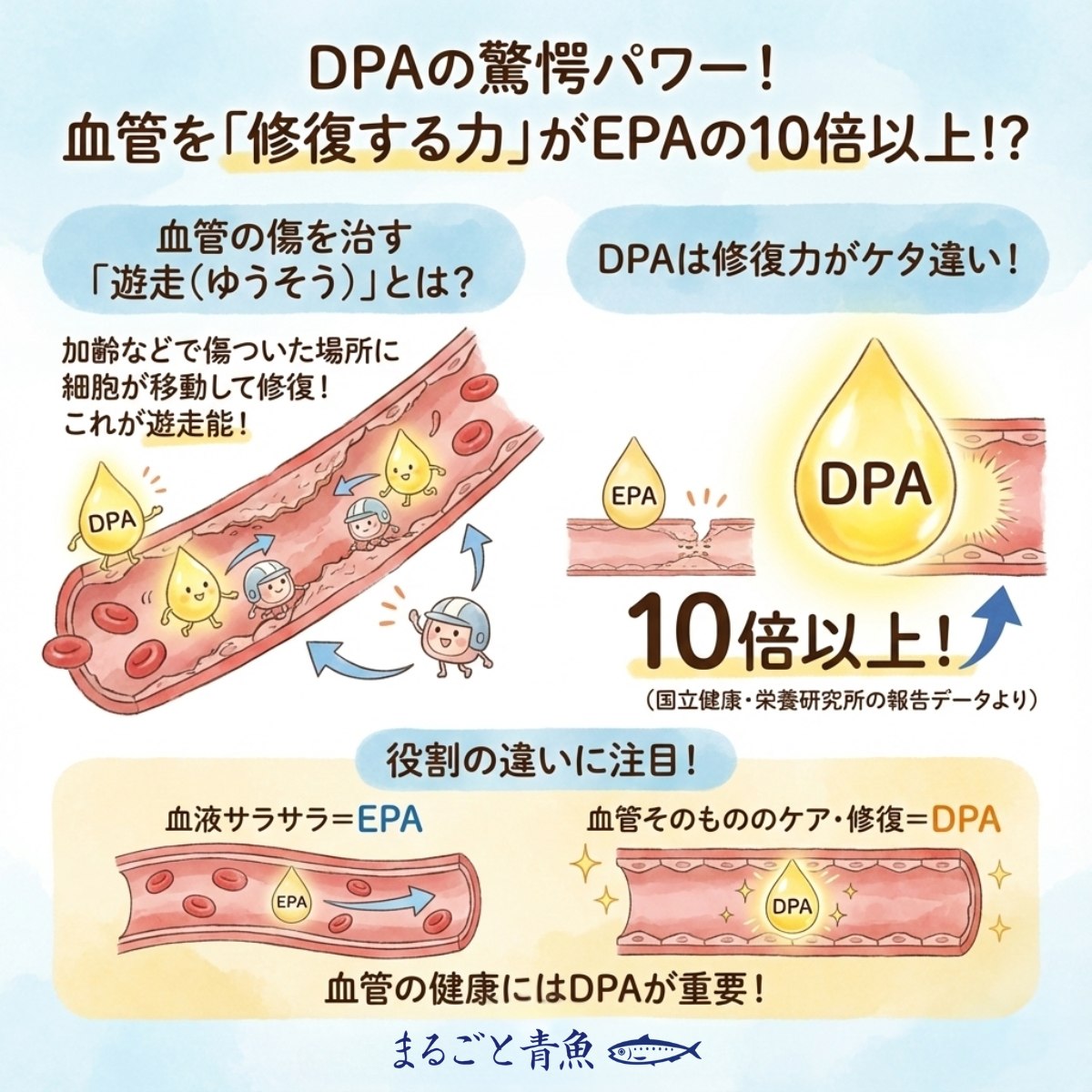 EPAの10倍以上？DPAの「血管を修復する力」に注目