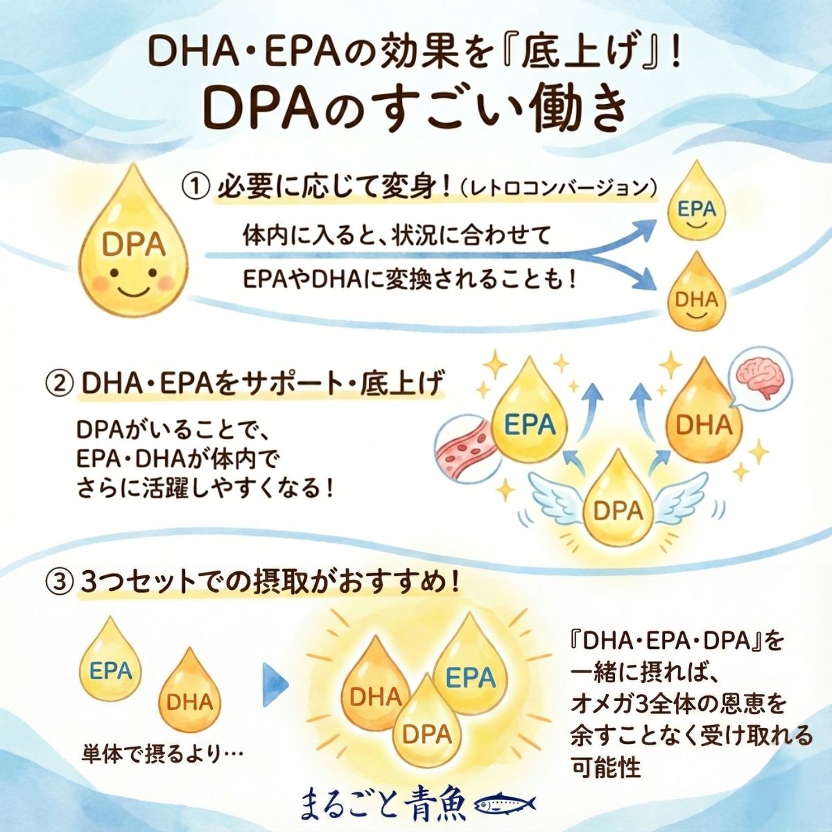 DHA・EPAの効果を「底上げ」するDPAの働き