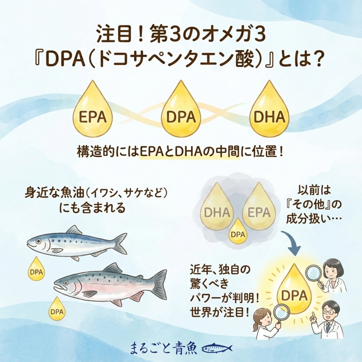 「第3のオメガ3」DPA（ドコサペンタエン酸）とは？