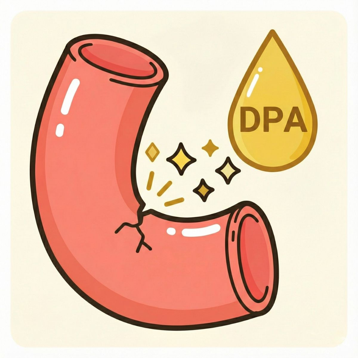  DHA・EPAだけではもったいない？第3のオメガ3「DPA」が持つ血管修復力とは