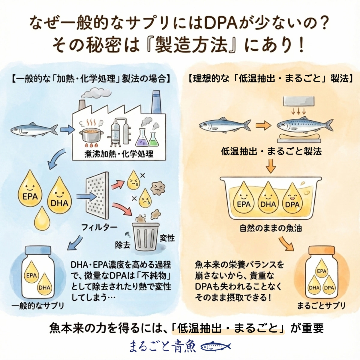 なぜ一般的なサプリメントにはDPAが少ないのか？