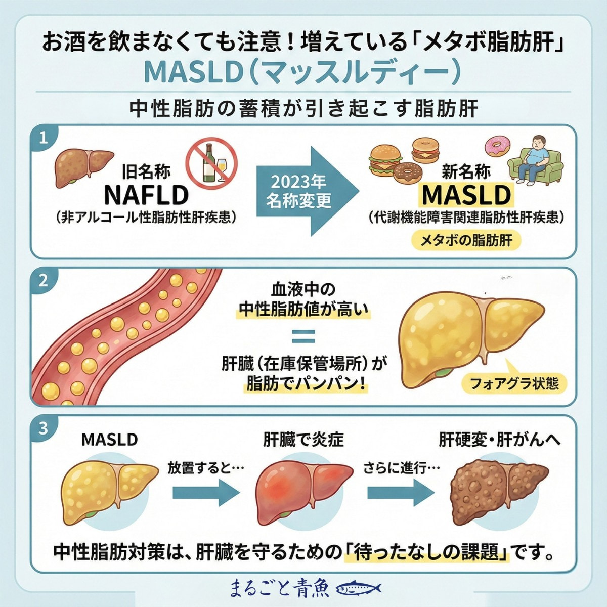 中性脂肪の蓄積が引き起こす脂肪肝「MASLD」
