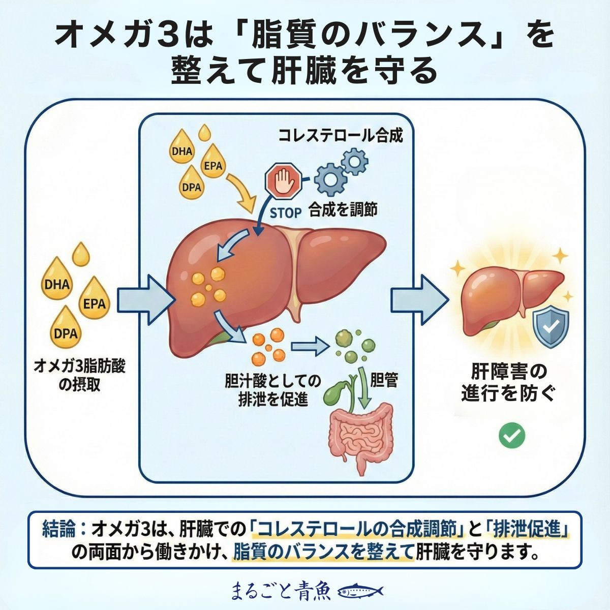 オメガ3はコレステロールの代謝を制御し肝障害の進行を食い止める