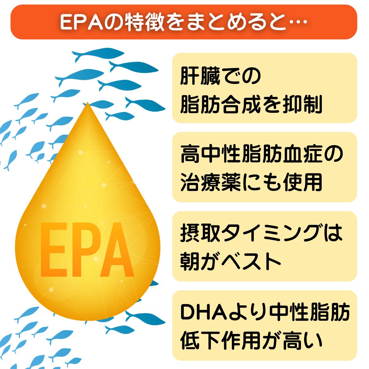 EPAと中性脂肪の関係