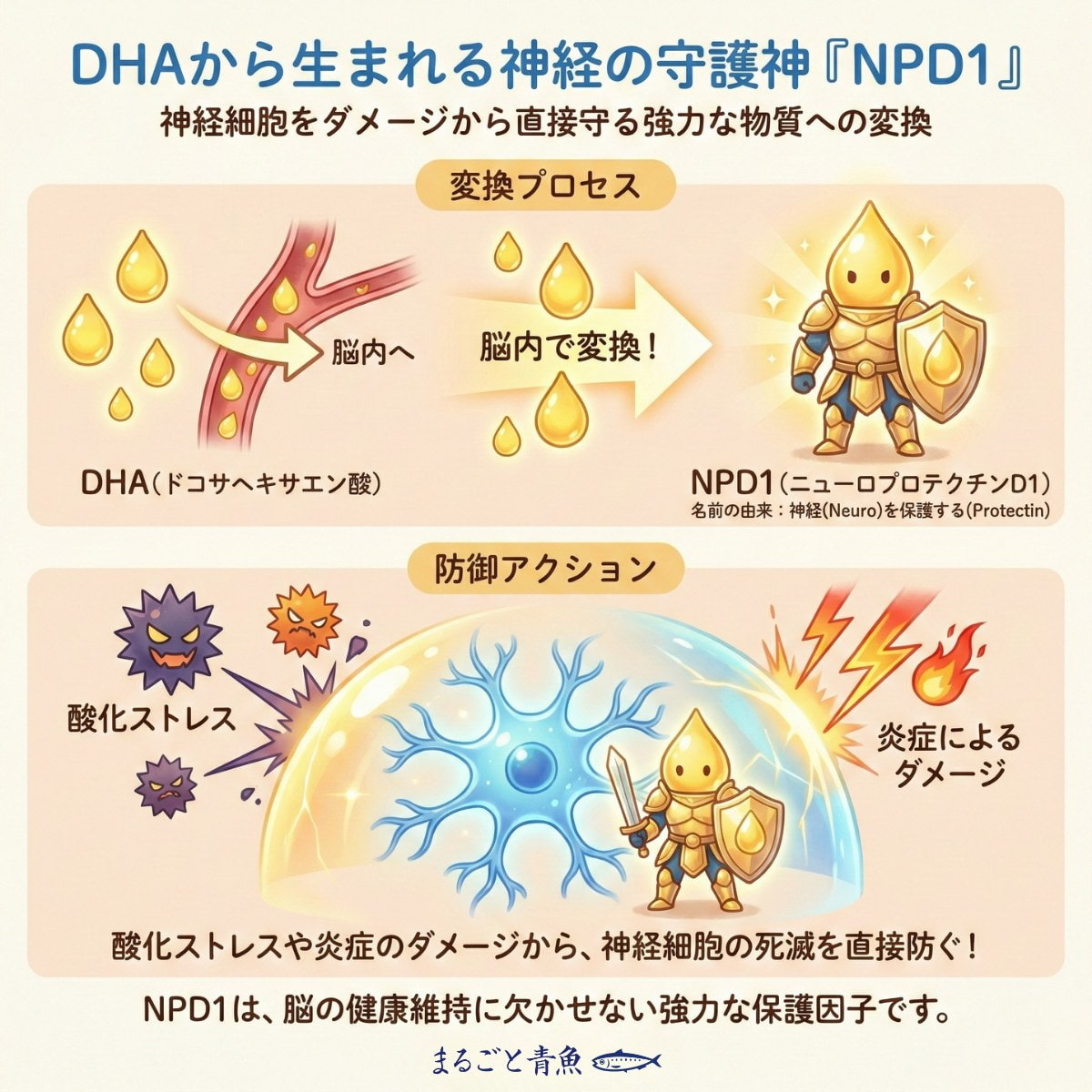 DHAは脳内で神経細胞を守るNPD1に変換される