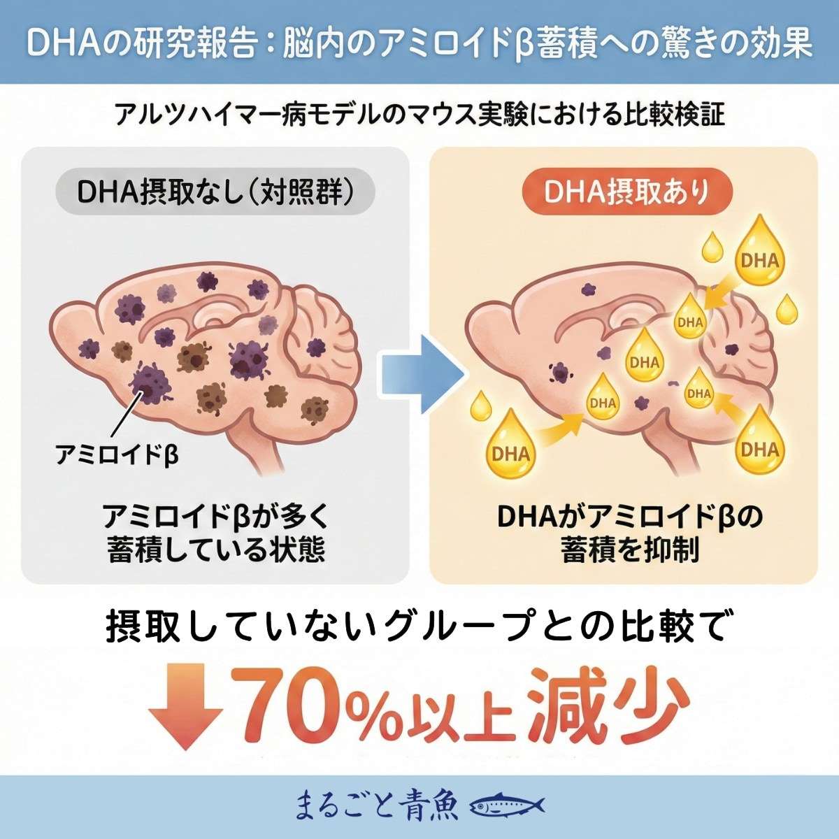 DHAがアミロイドβ蓄積量を70%以上減少させる