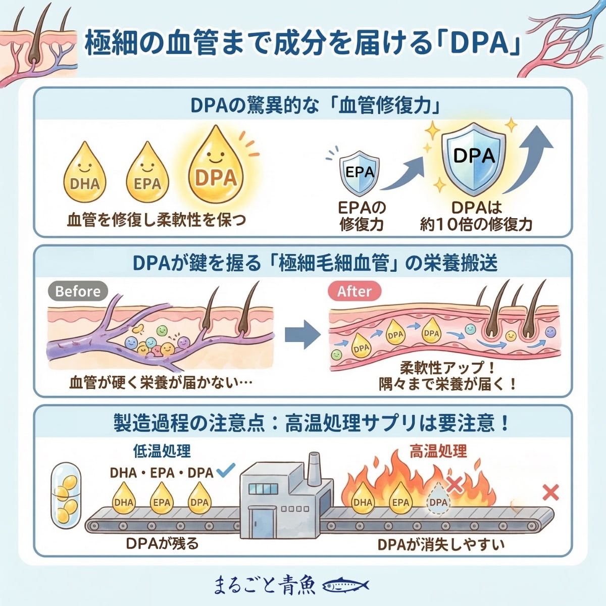 オメガ3サプリにはDPAが含まれているかが重要