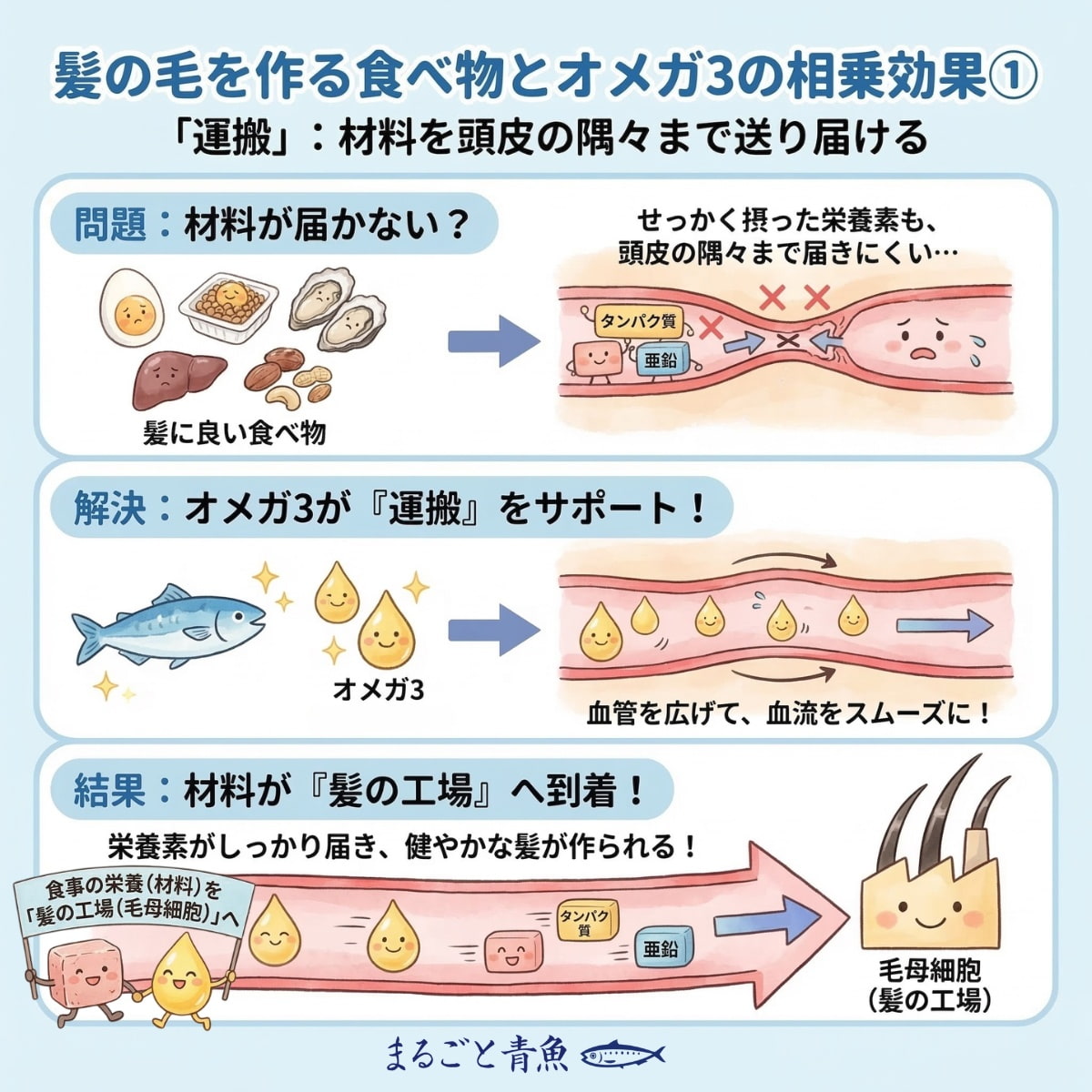 オメガ3が栄養素を頭皮の隅々まで送り届ける