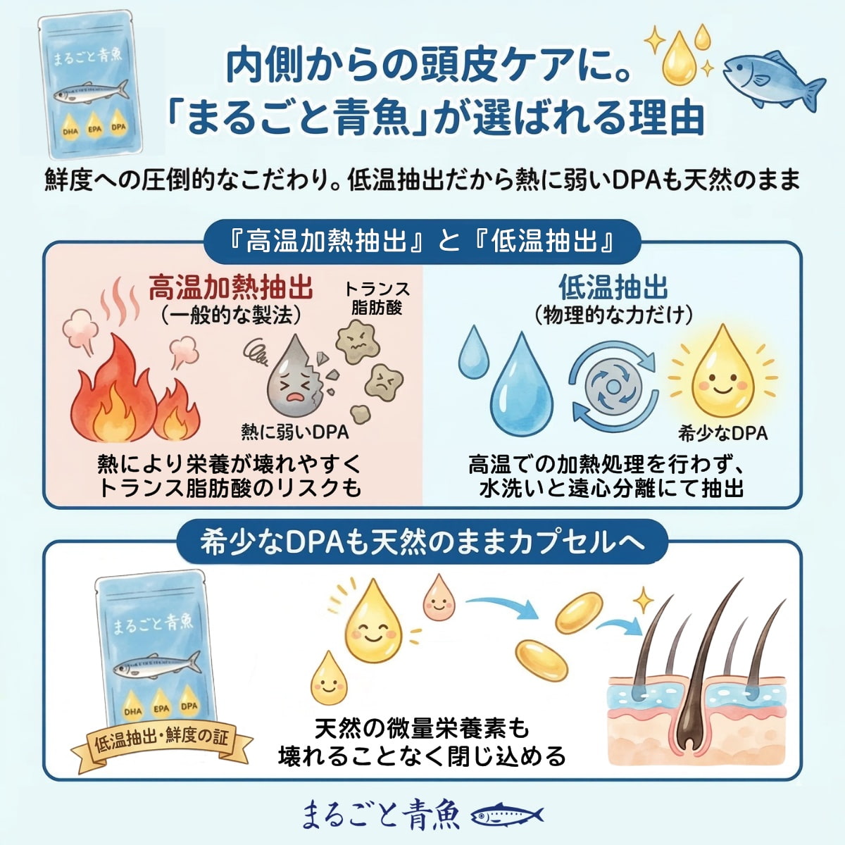 内側からの頭皮ケアに。「まるごと青魚」が選ばれる理由