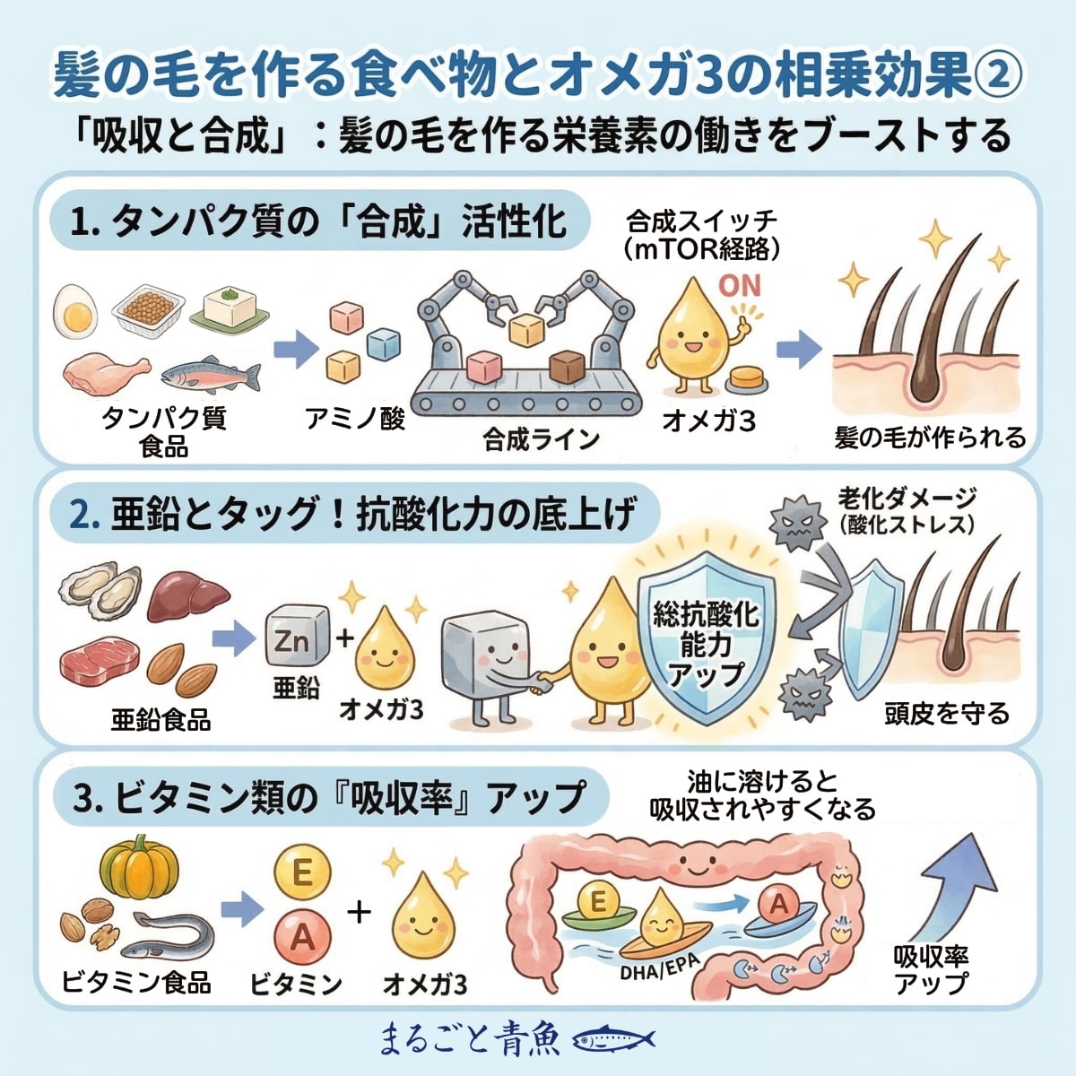 オメガ3が髪の毛を作る栄養素の働きをブーストする