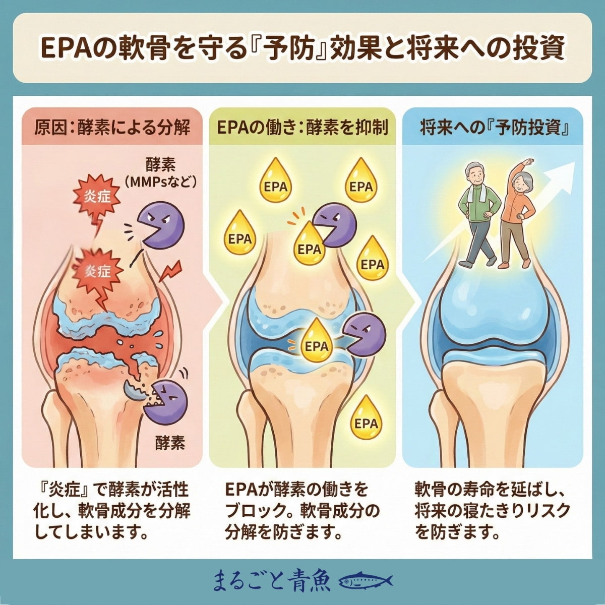 軟骨を守るEPAの予防効果