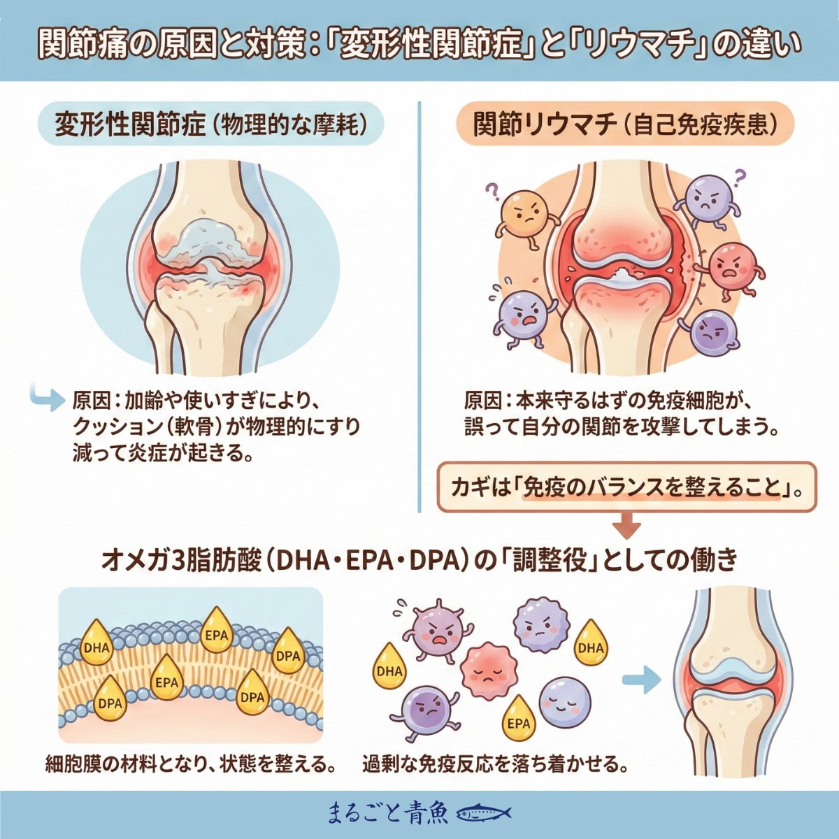 オメガ3が痛みの元凶となる炎症物質の発生を抑える