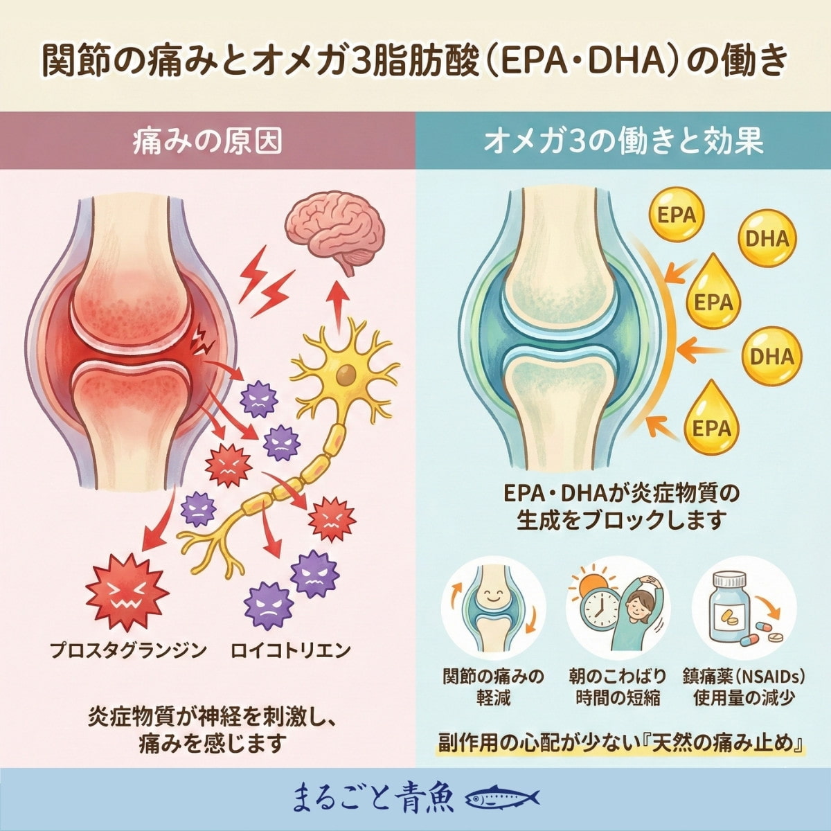 オメガ3が痛みの元凶となる炎症物質の発生を抑える