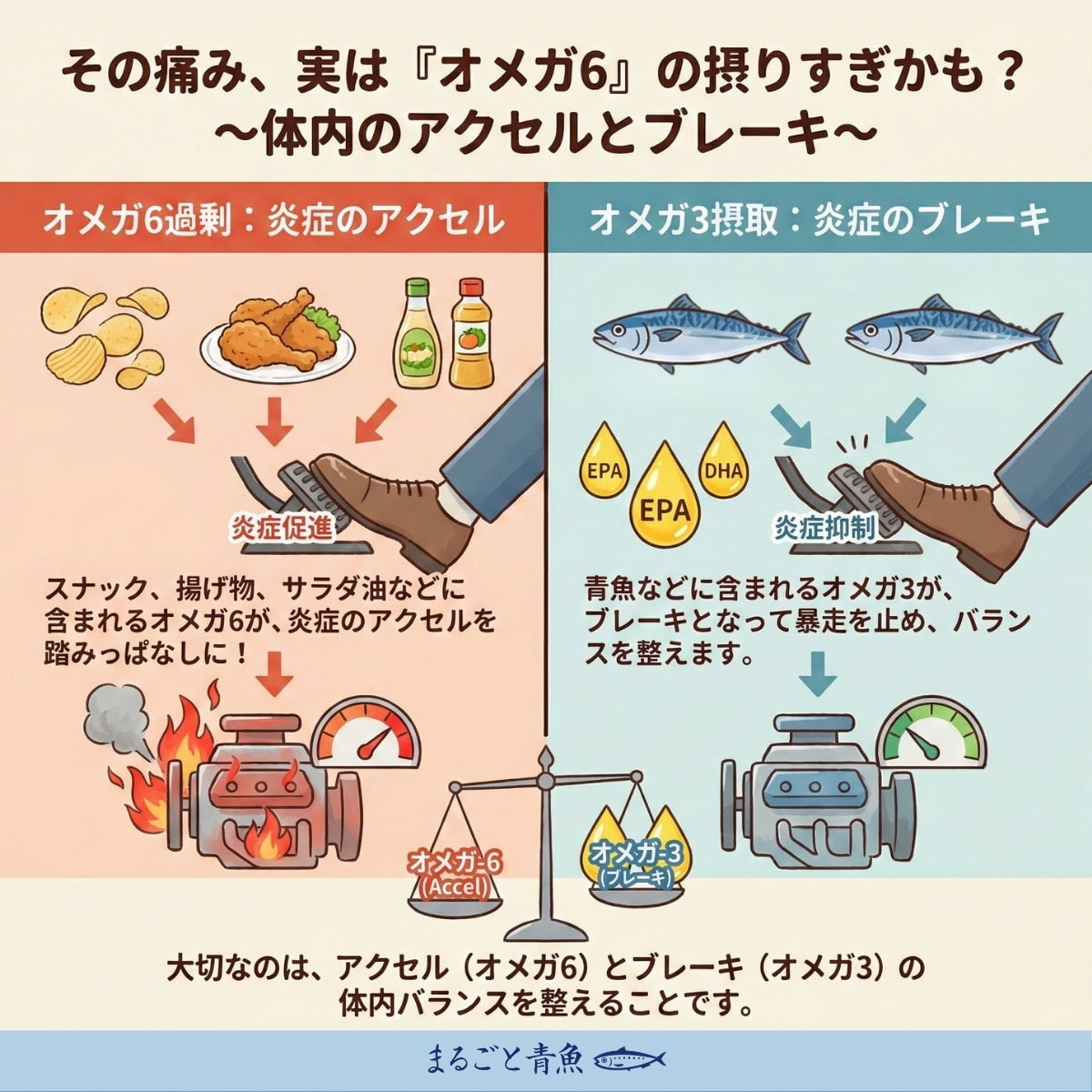 オメガ6は体内で炎症を促進する