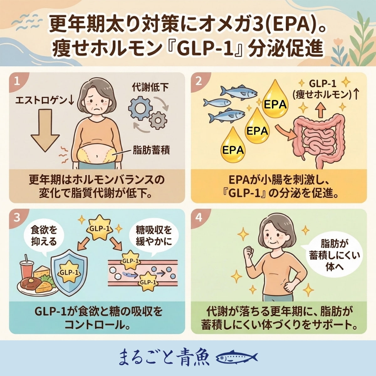 EPAが痩せホルモン「GLP-1」の分泌を促進して更年期太りを防ぐ