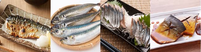 魚と魚料理の写真