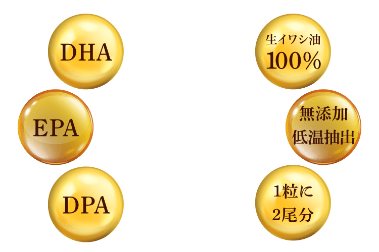 DHA,EPA,DPA,生イワシ油100%,無添加低温抽出,1粒に2尾分