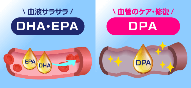 血管のケア・修復はDPAの図