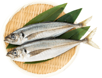 青魚の写真