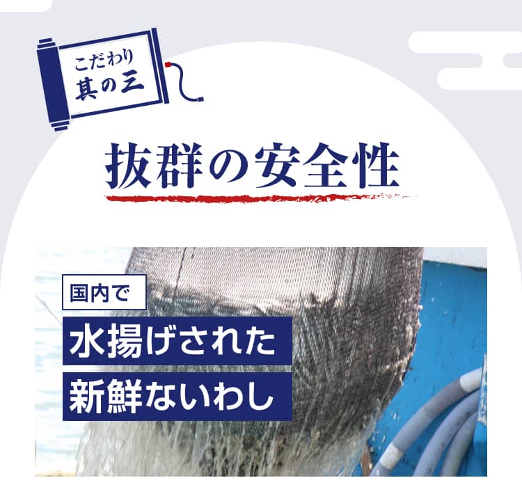 まるごと青魚の健康へのこだわり、其の三 抜群の安全性　国内で水揚げされた新鮮ないわし