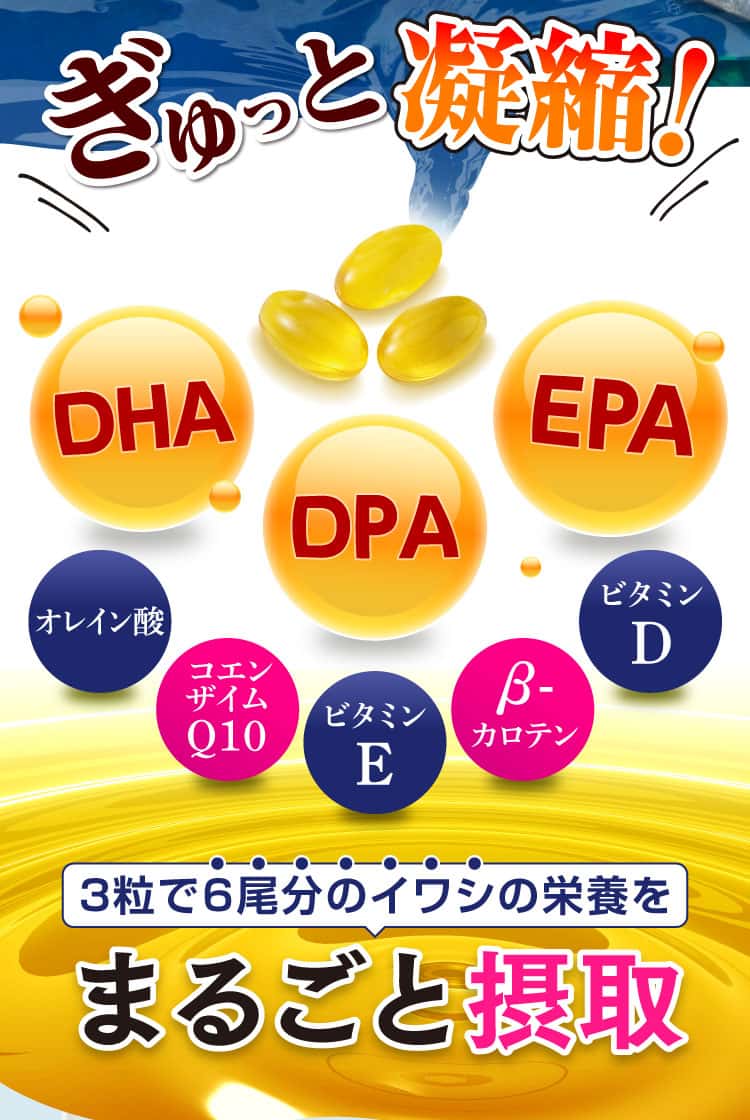 3粒で6尾のイワシの栄養をまるごと摂取！