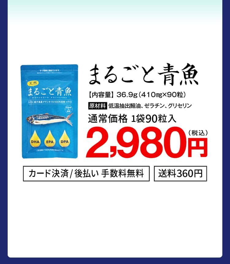 まるごと青魚通常価格2980円
