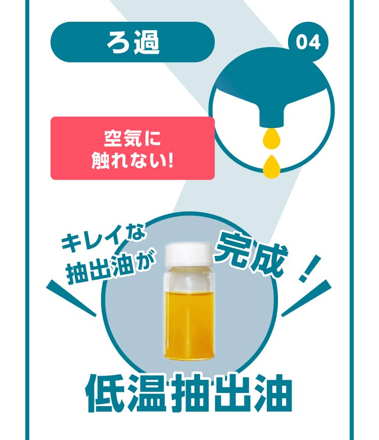 04ろ過 空気に触れない！ キレイな抽出油が完成！ 低温抽出油