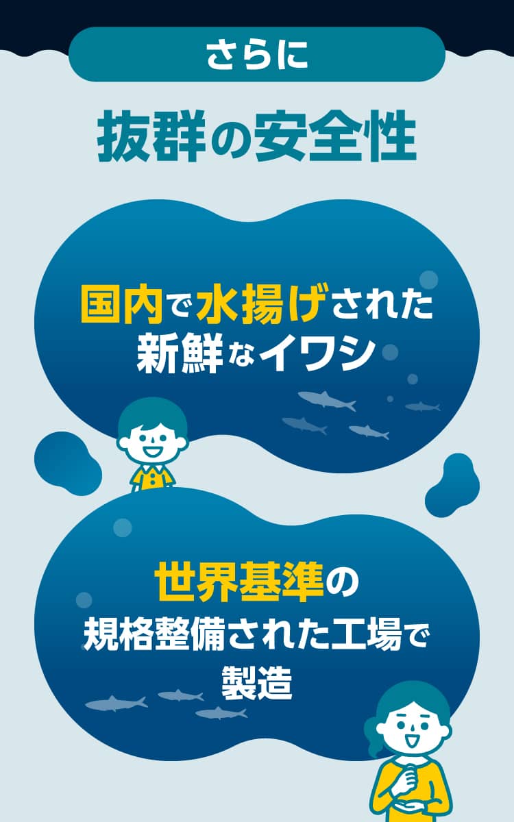 国内で水揚げされた新鮮なイワシ 世界基準の規格整備された工場で製造