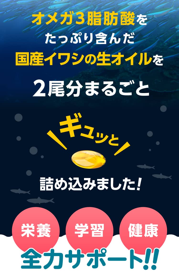 国産イワシの生オイル2尾分まるごとギュッと詰め込みました！