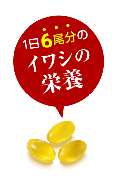 1日6尾分のイワシの栄養